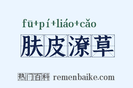 肤皮潦草是什么意思的图片